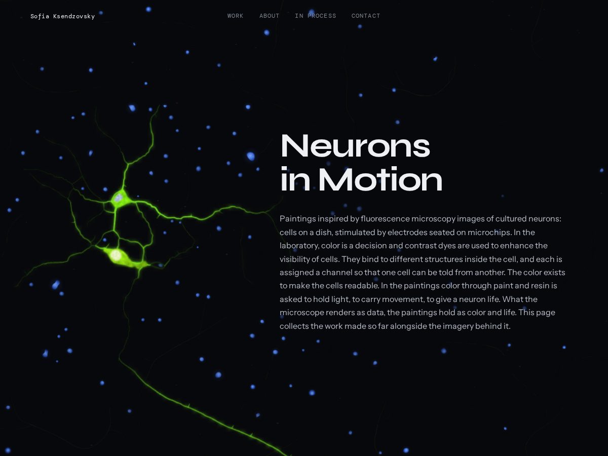 Landing-page snapshot of neuronsinmotion.online