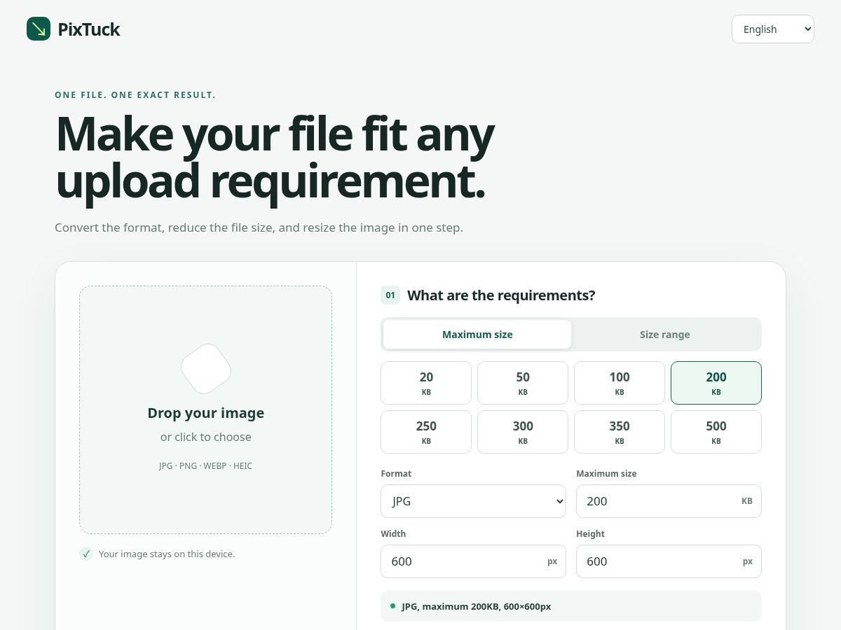 Landing-page snapshot of pixtuck.com