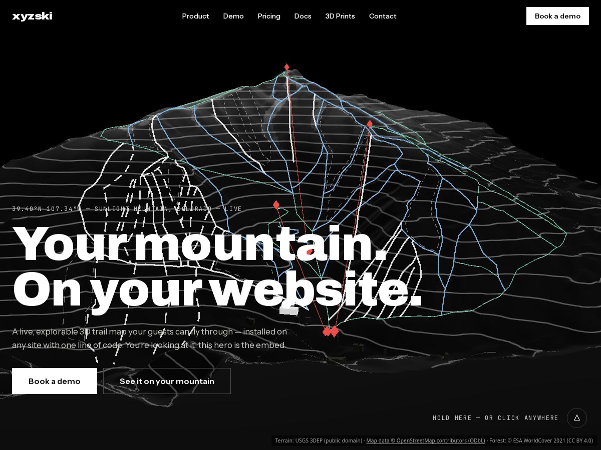 Landing-page snapshot of skiwithyourfriends.com