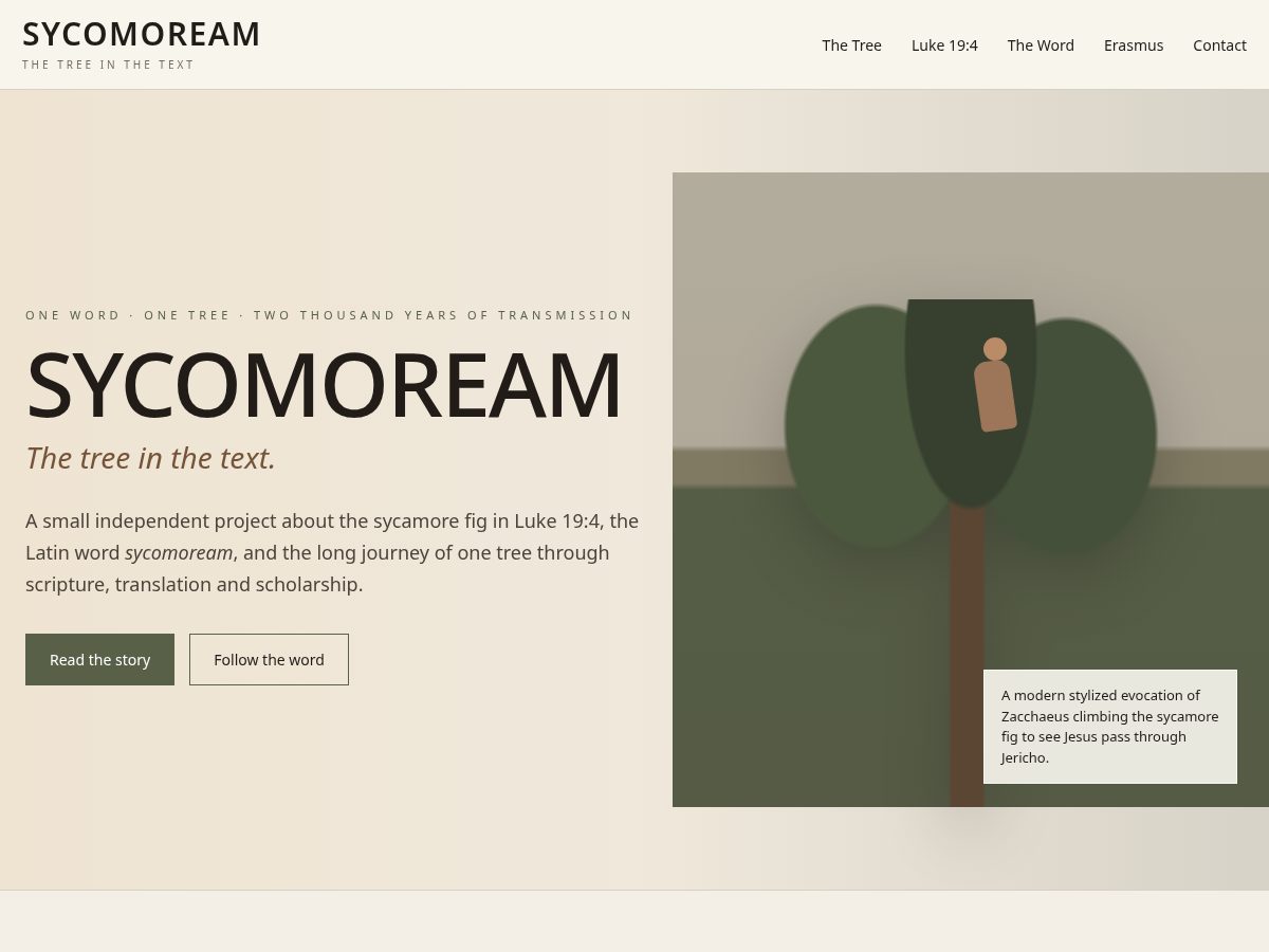 Landing-page snapshot of sycomoream.com