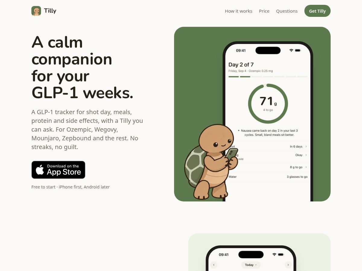 Landing-page snapshot of tilly.day
