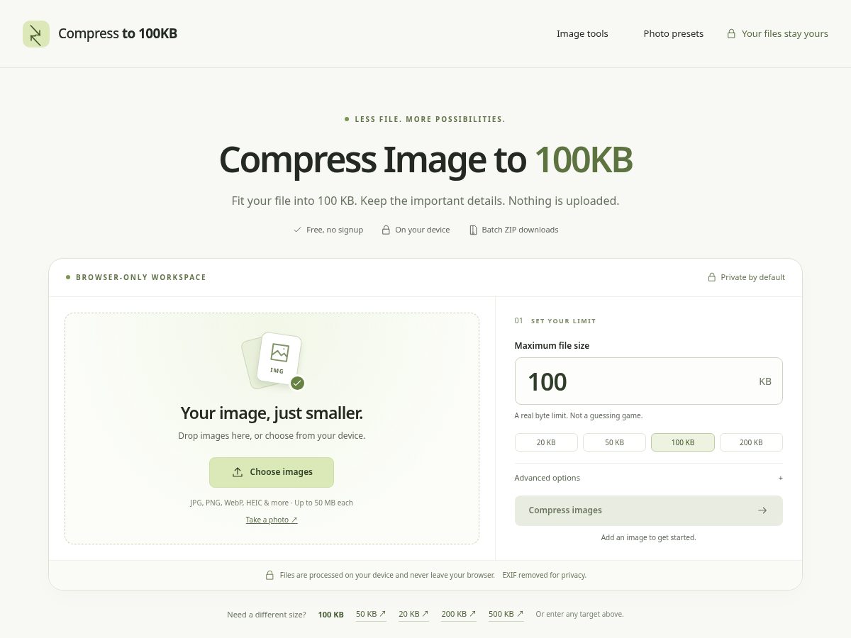 Landing-page snapshot of compressto100kb.com