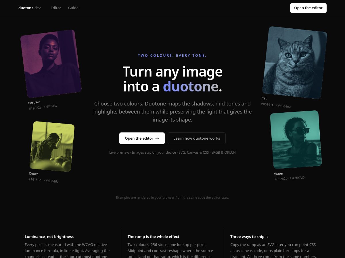 Landing-page snapshot of duotone.dev