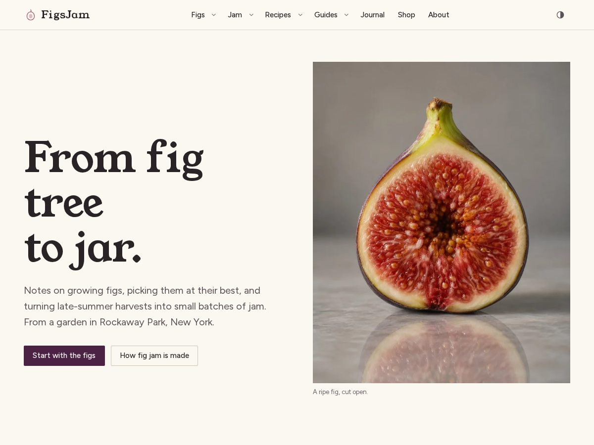 Landing-page snapshot of figsjam.com