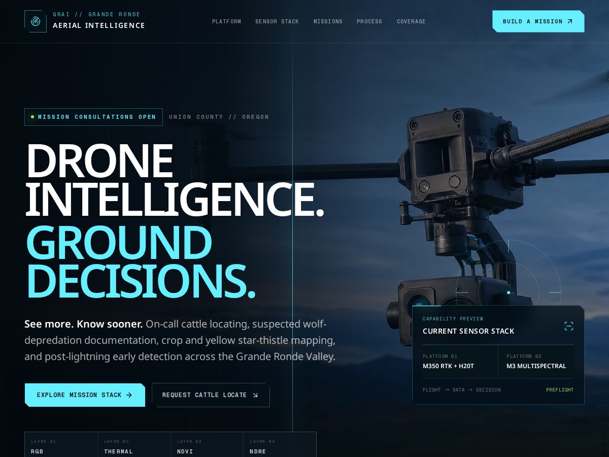 Landing-page snapshot of granderondeai.net