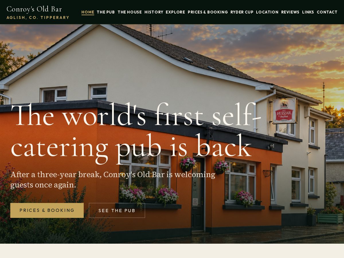 Landing-page snapshot of irishpubrental.com
