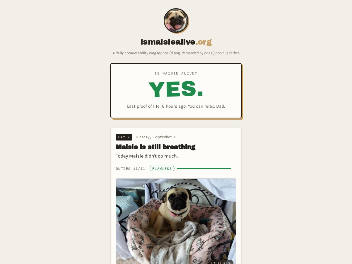 Landing-page snapshot of ismaisiealive.org