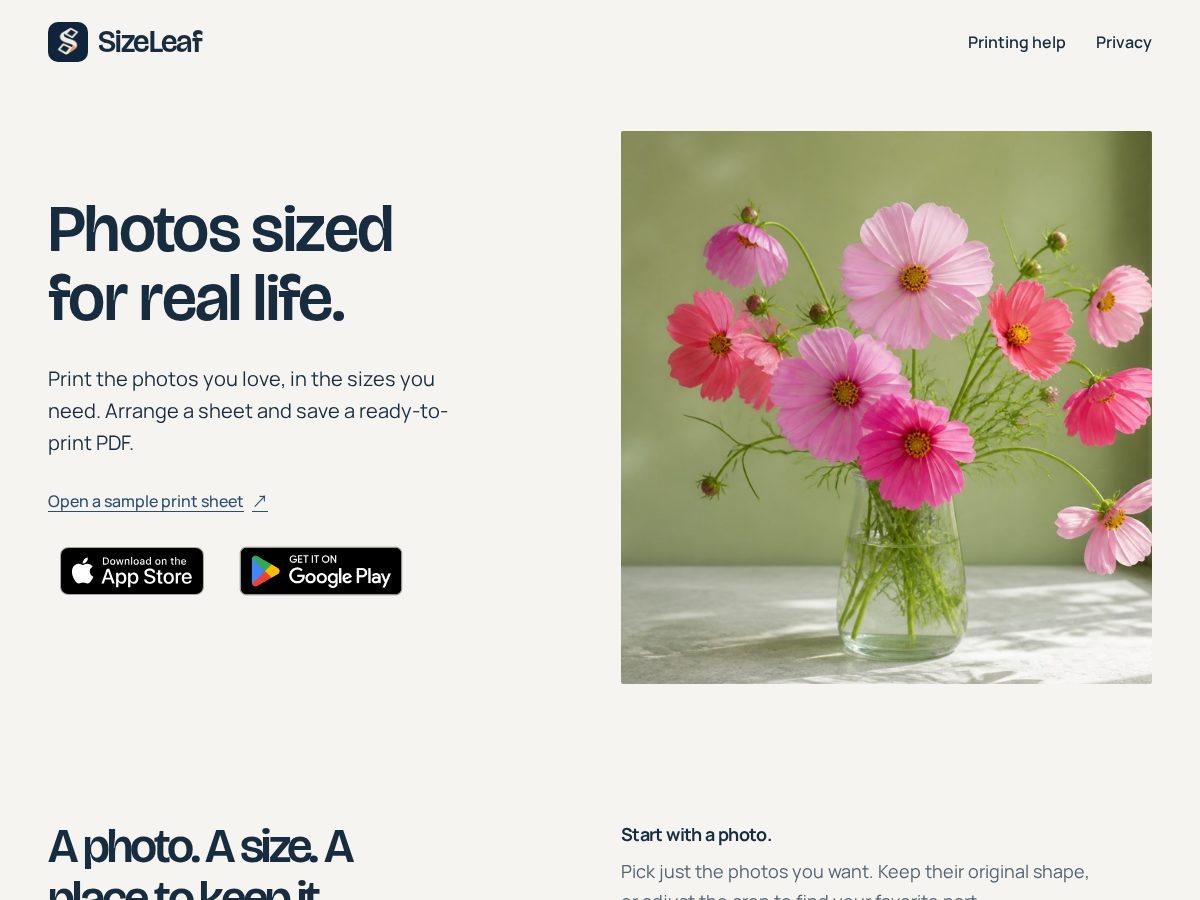 Landing-page snapshot of sizeleaf.com
