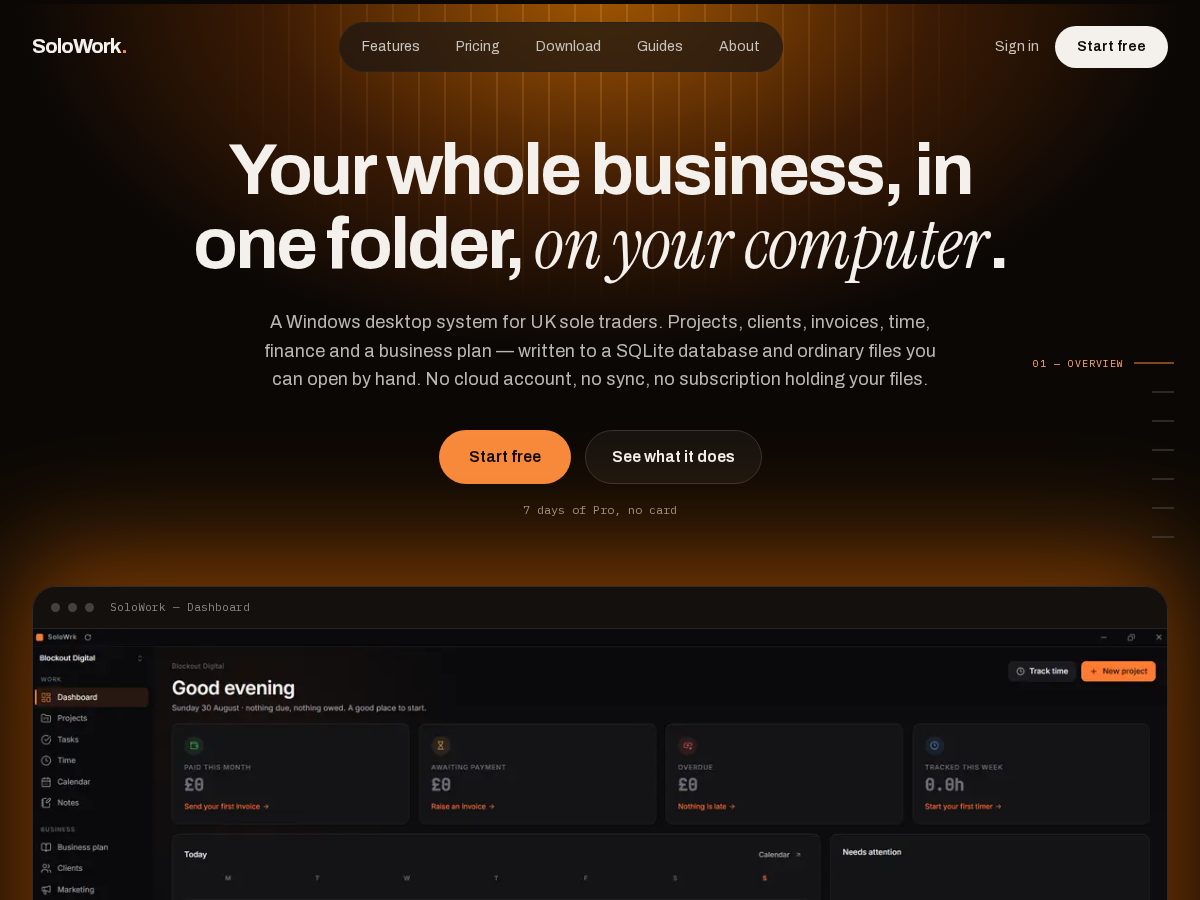 Landing-page snapshot of solo-work.online