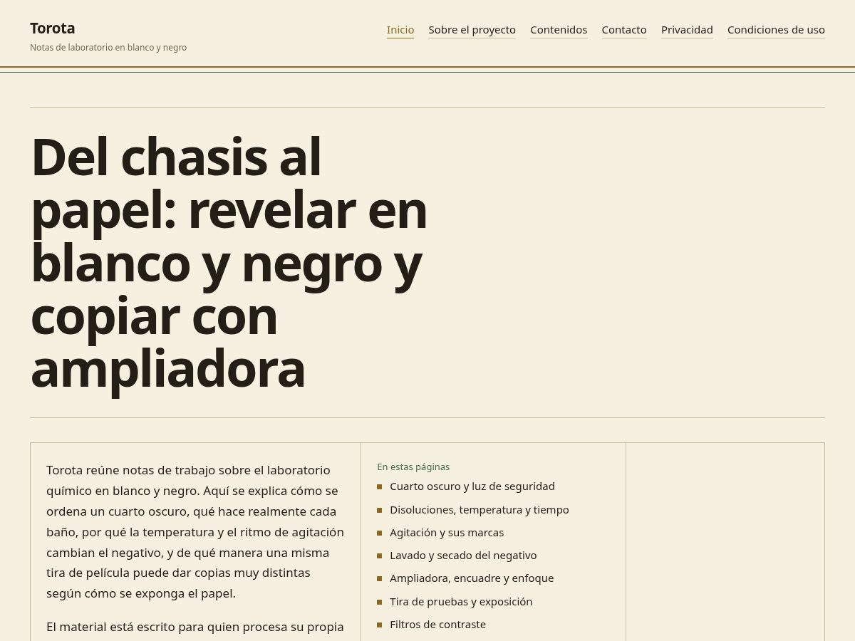 Landing-page snapshot of torota.world