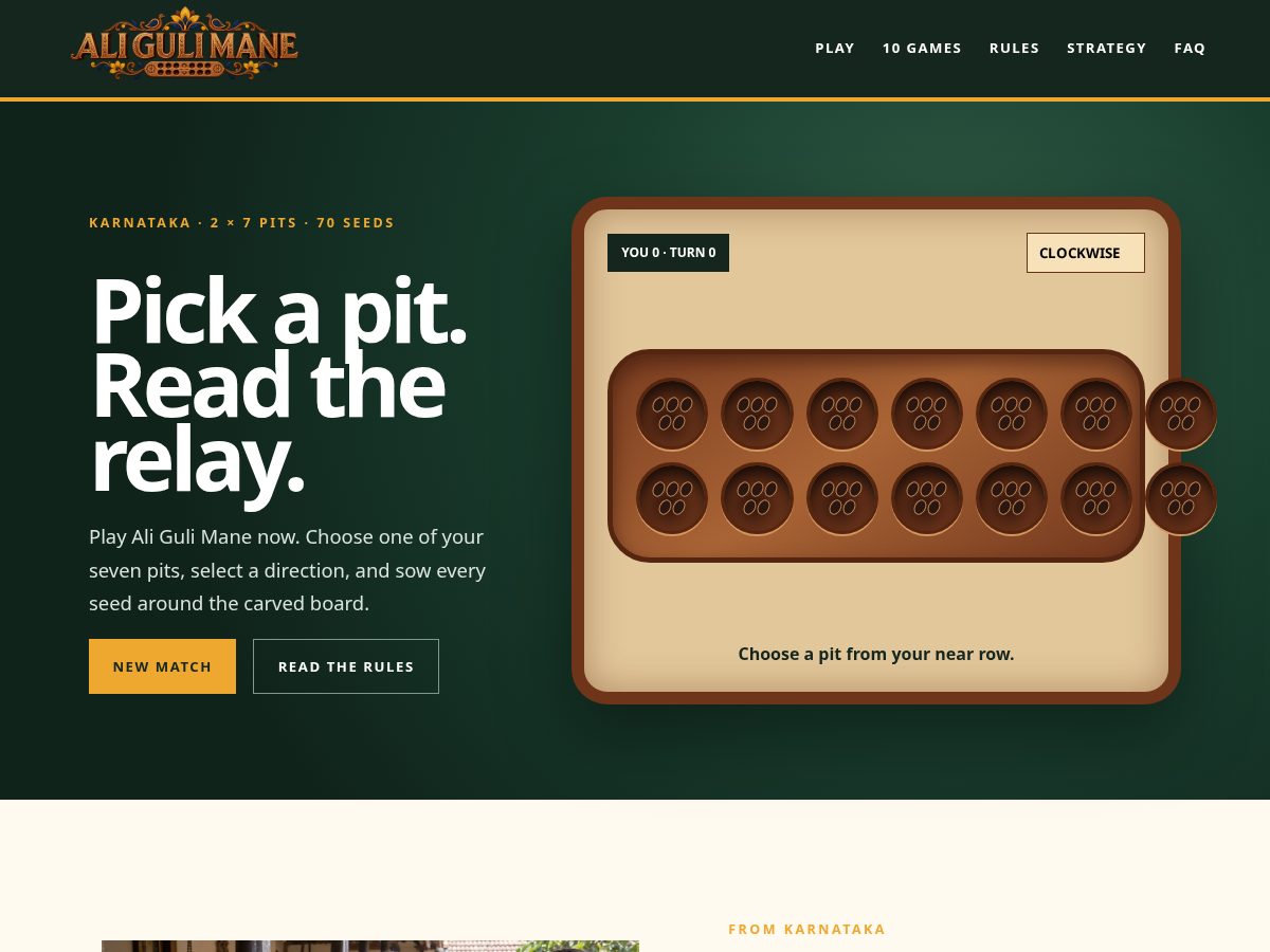 Landing-page snapshot of aligulimane.com
