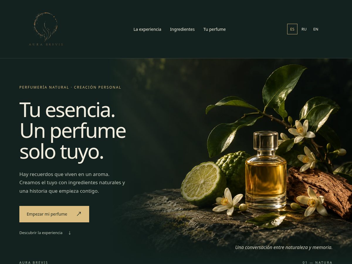 Landing-page snapshot of aurabrevis.com