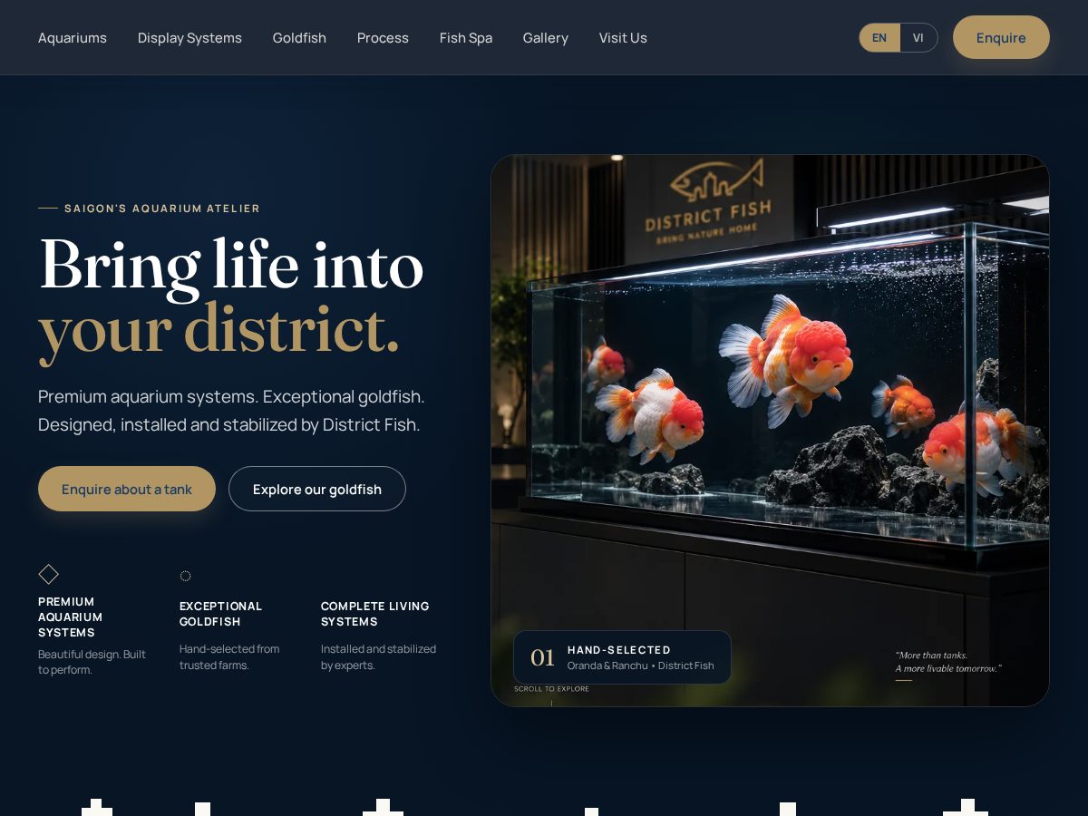 Landing-page snapshot of districtfish.com