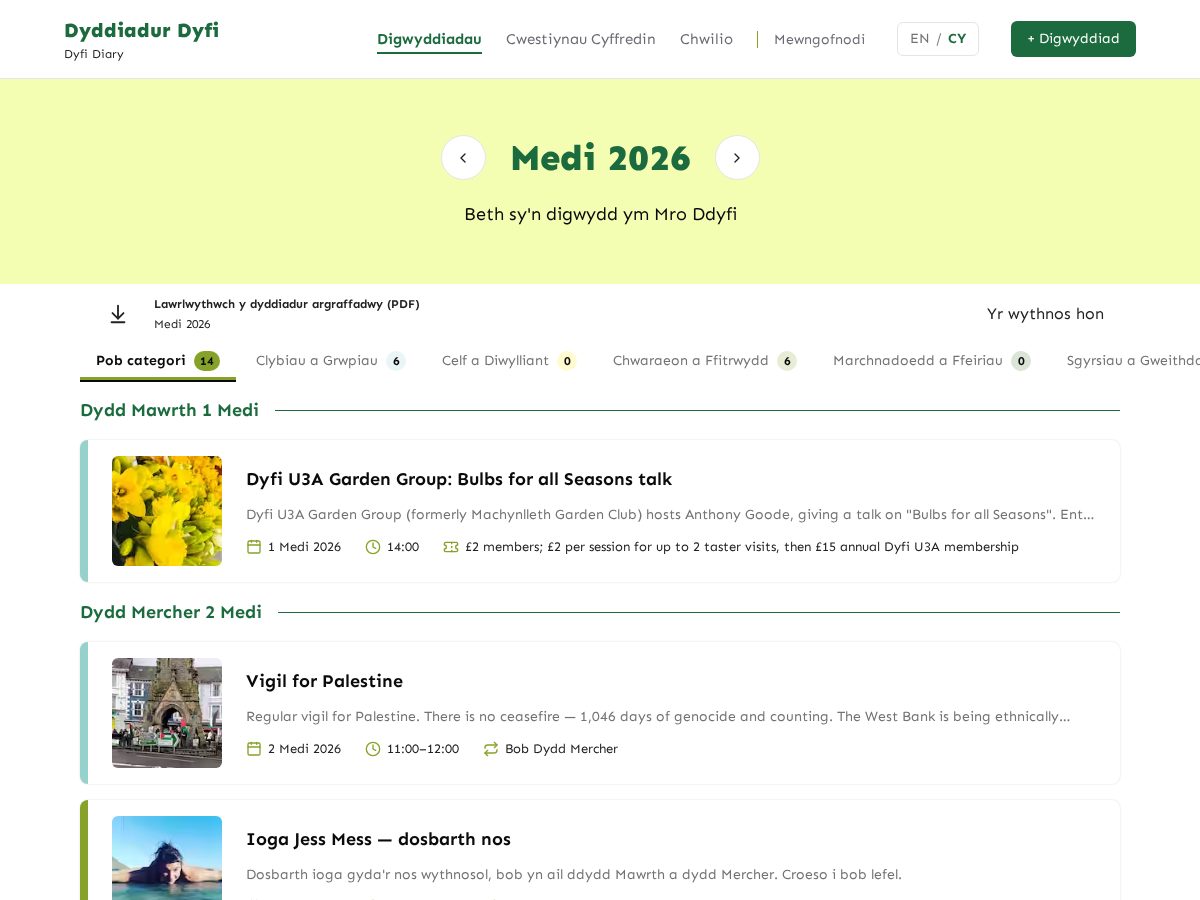 Landing-page snapshot of dyfiidiary.org