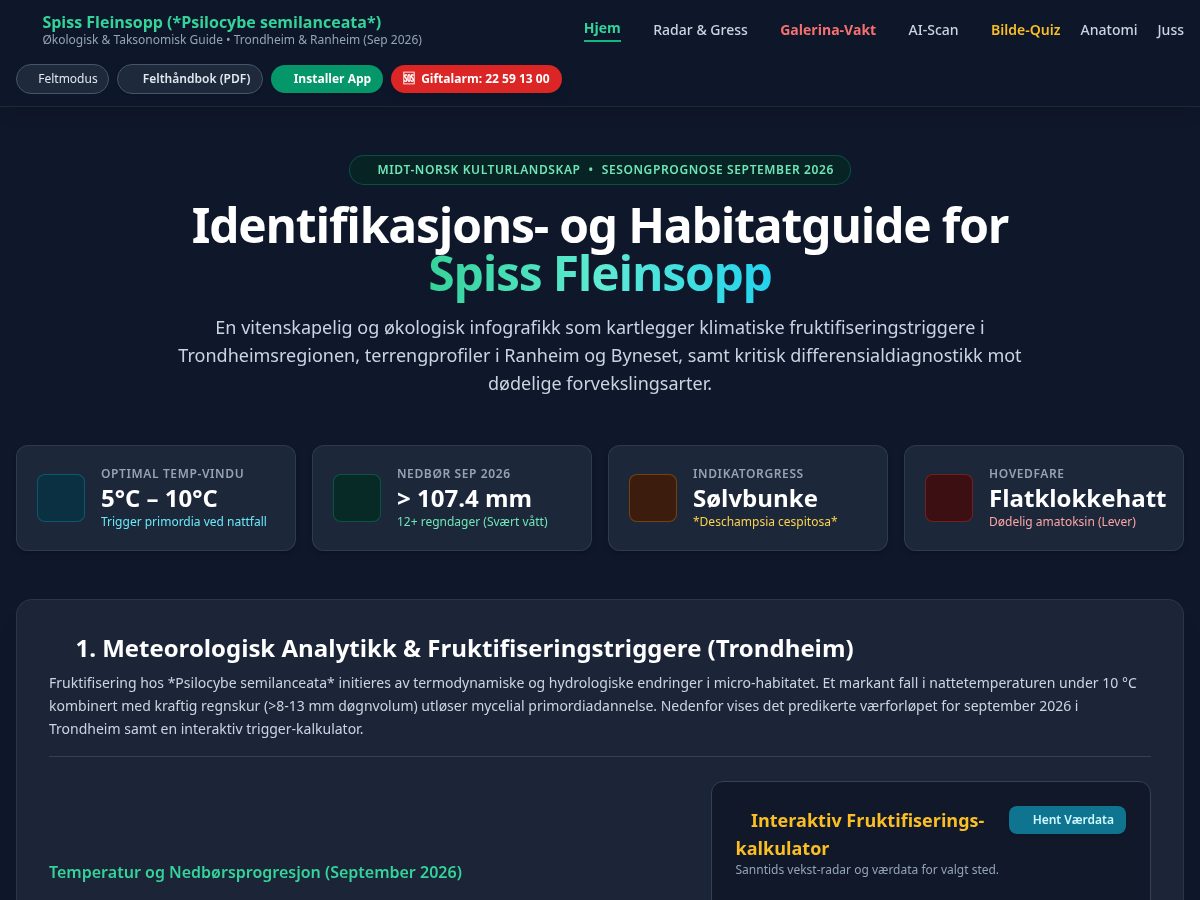Landing-page snapshot of fleinsopp.info