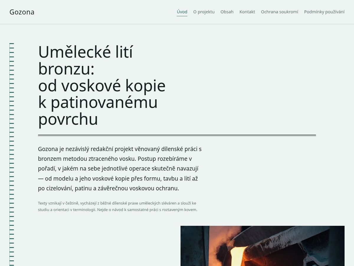Landing-page snapshot of gozona.world