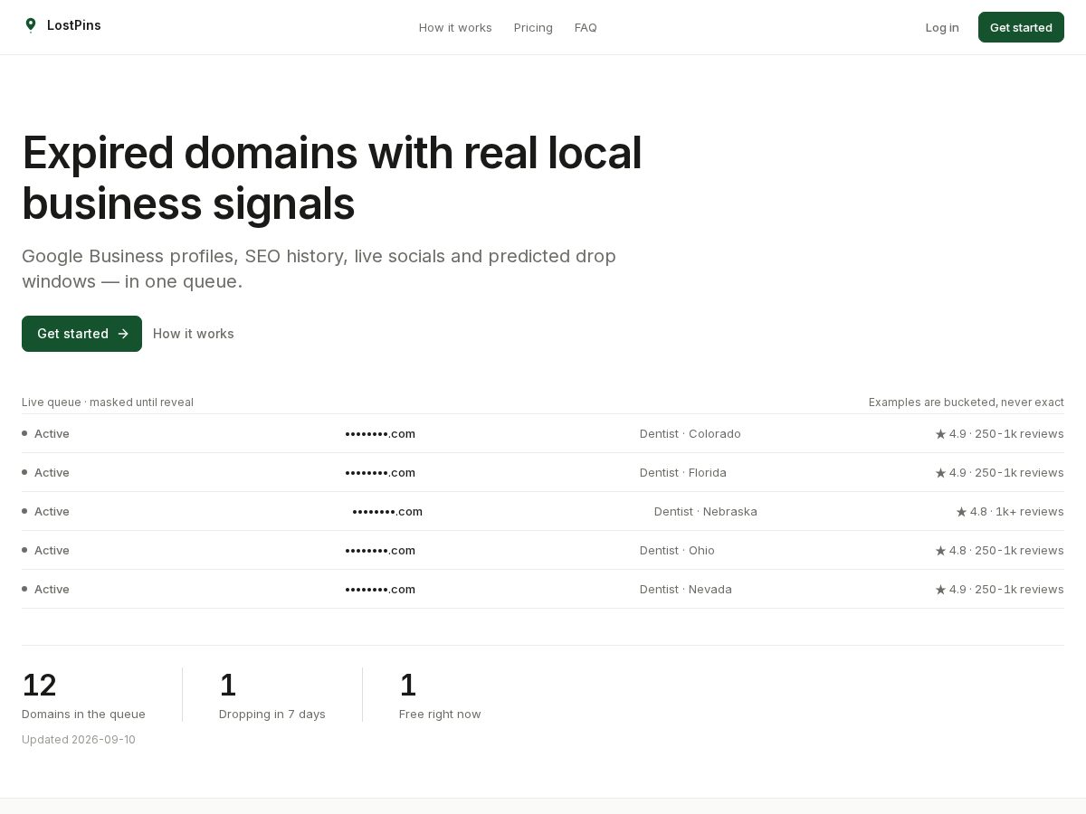 Landing-page snapshot of lostpins.com