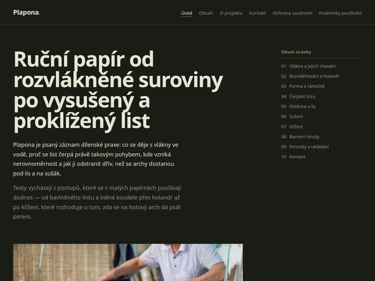 Landing-page snapshot of plapona.world