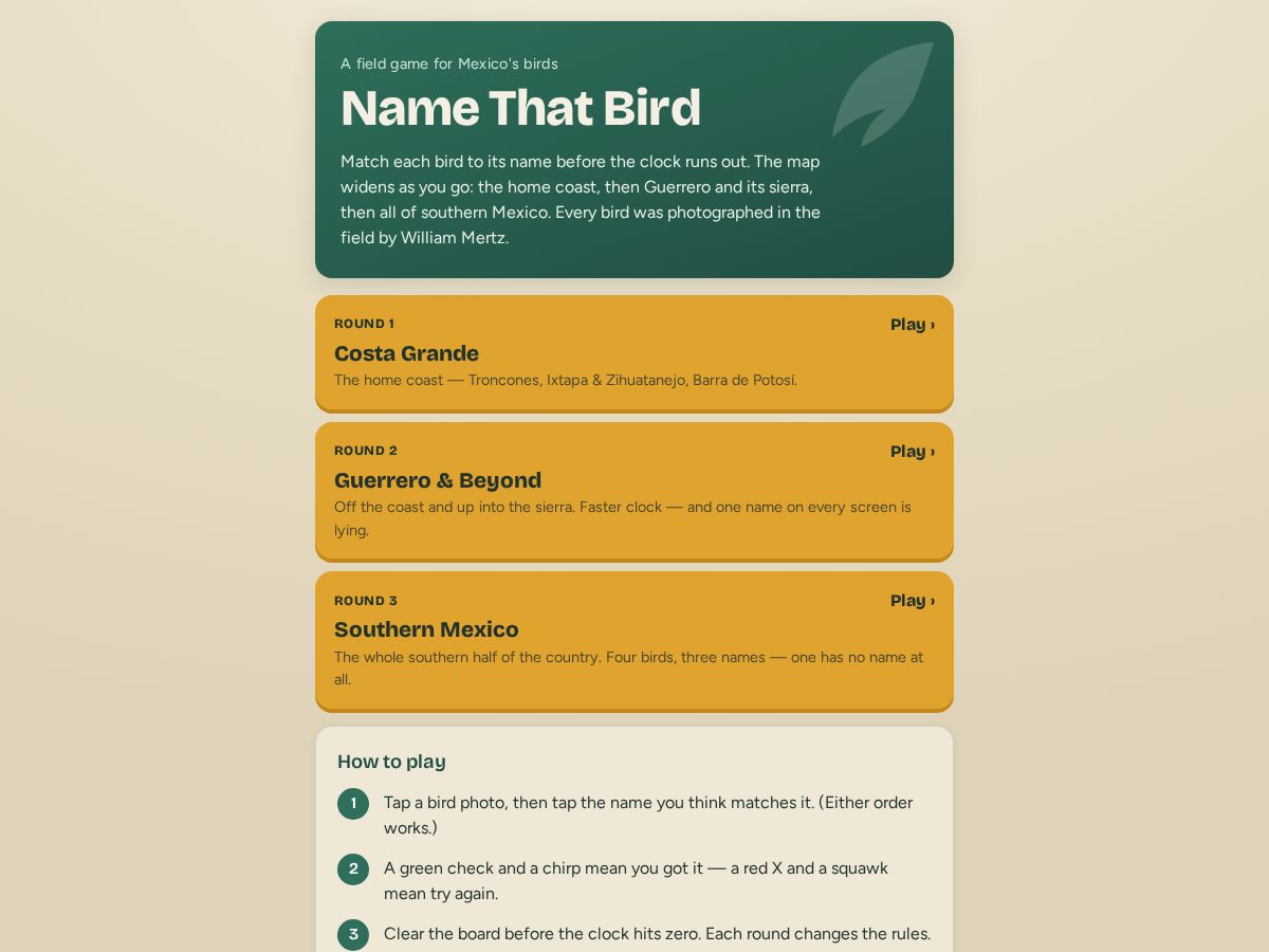 Landing-page snapshot of playbirdmatch.com