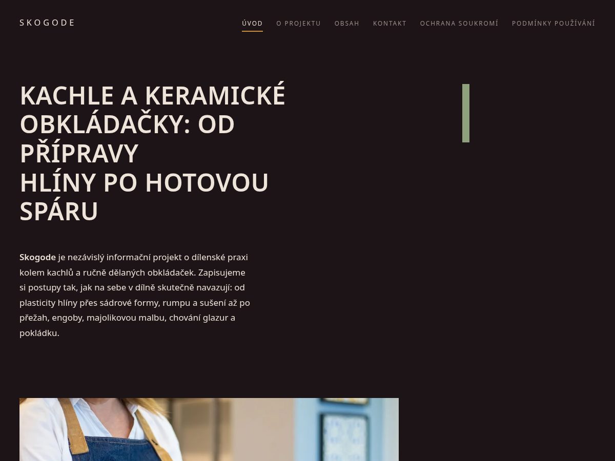 Landing-page snapshot of skogode.world