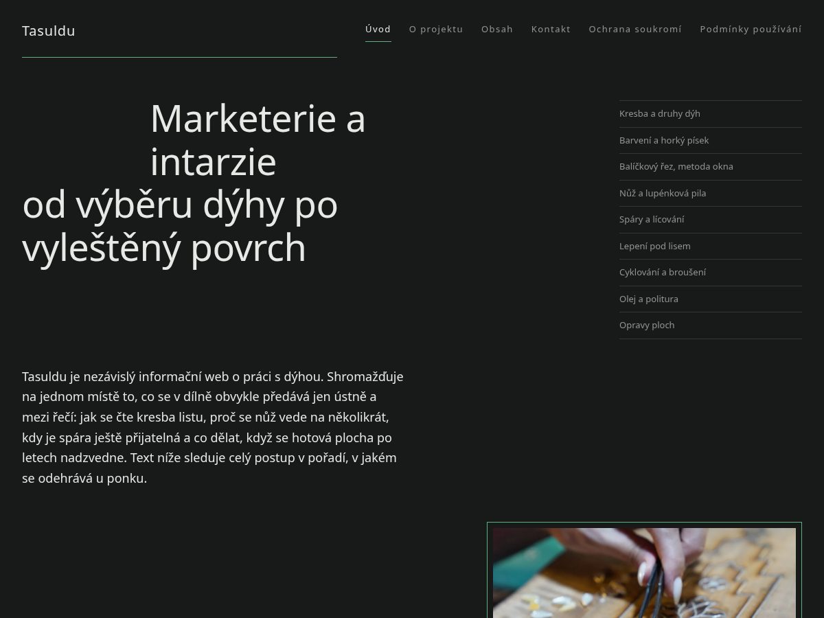 Landing-page snapshot of tasuldu.world