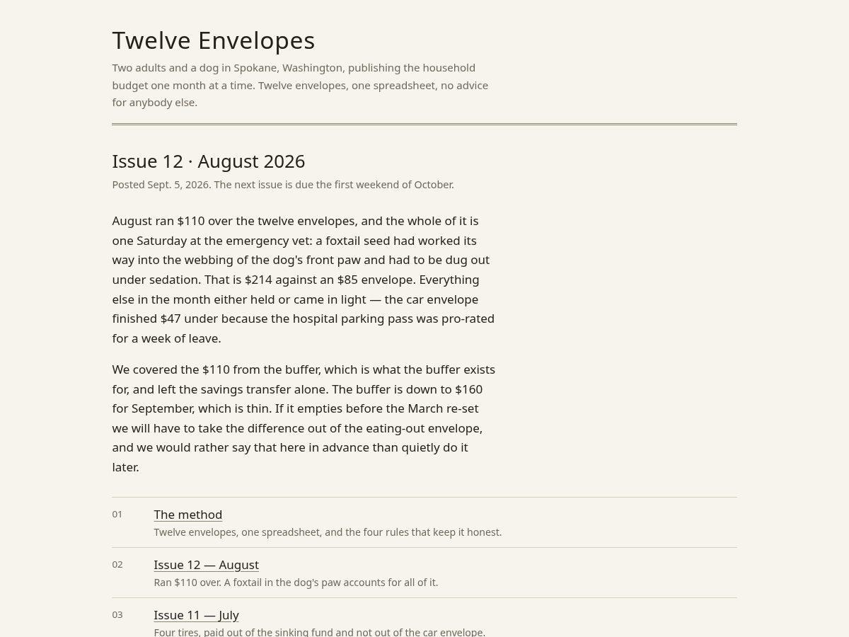 Landing-page snapshot of thebudgetscoop.com