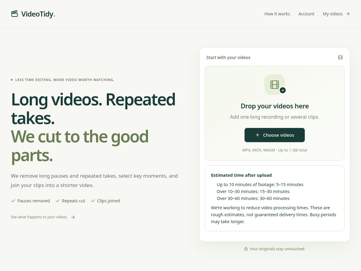 Landing-page snapshot of videotidy.com
