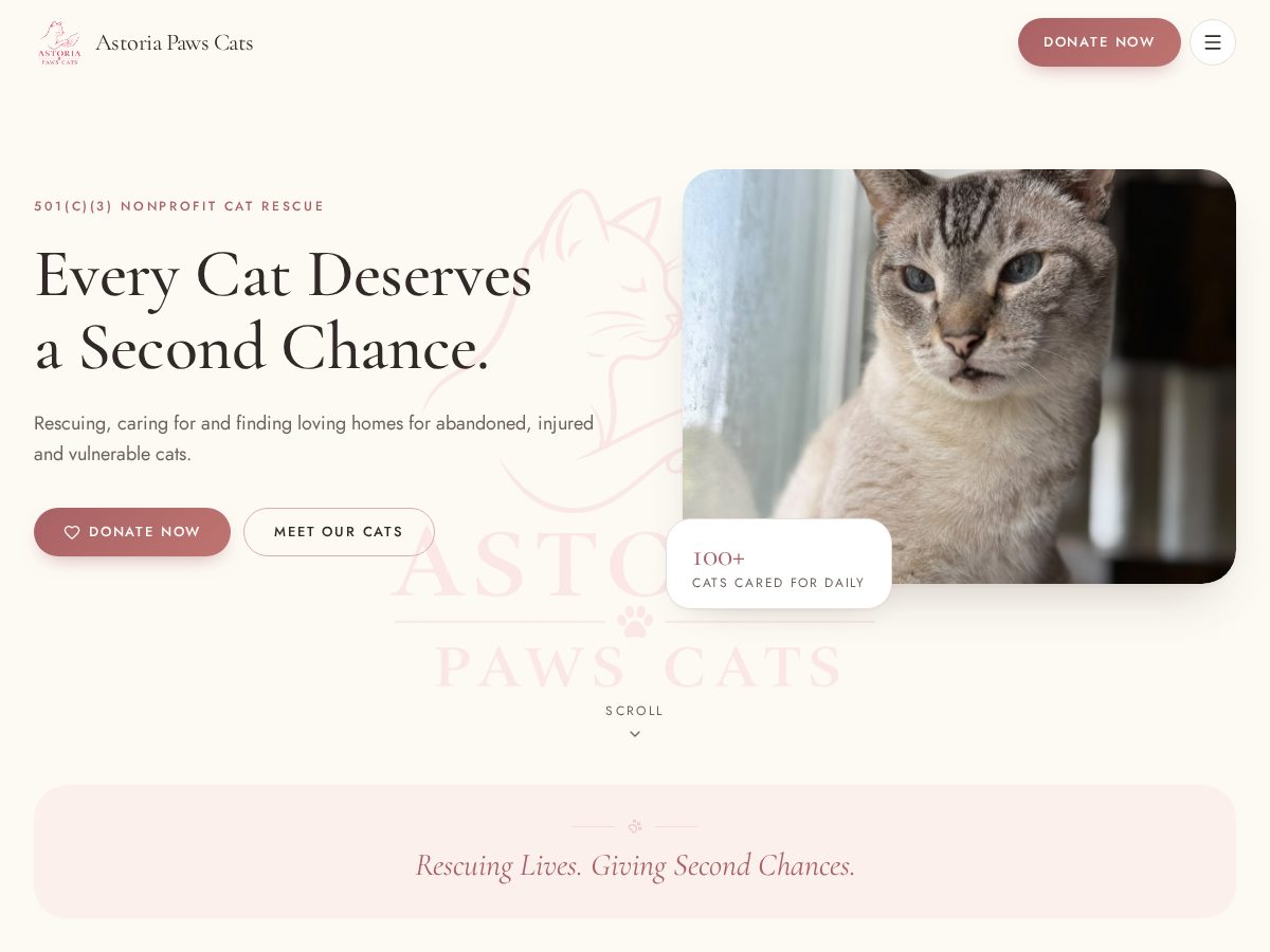 Landing-page snapshot of astoriapawscat.com