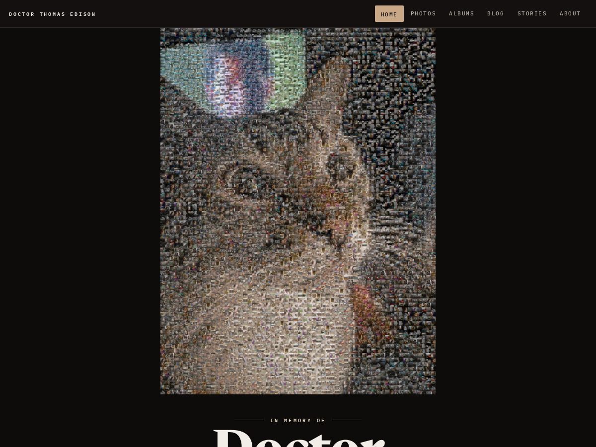 Landing-page snapshot of doctorthomasedison.com