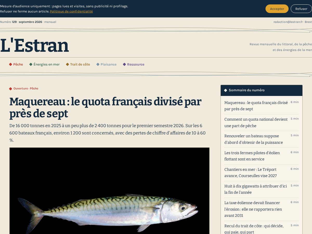 Landing-page snapshot of estran.top
