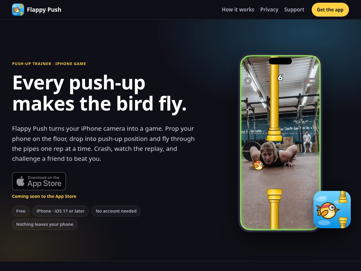Landing-page snapshot of flappypush.com
