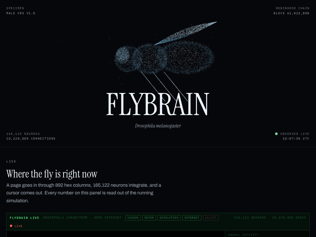 Landing-page snapshot of flybrain.online