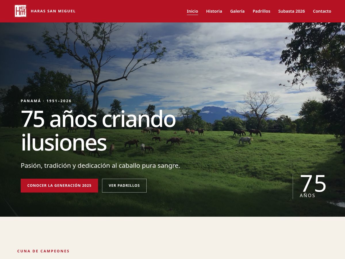 Landing-page snapshot of harassanmiguel.net