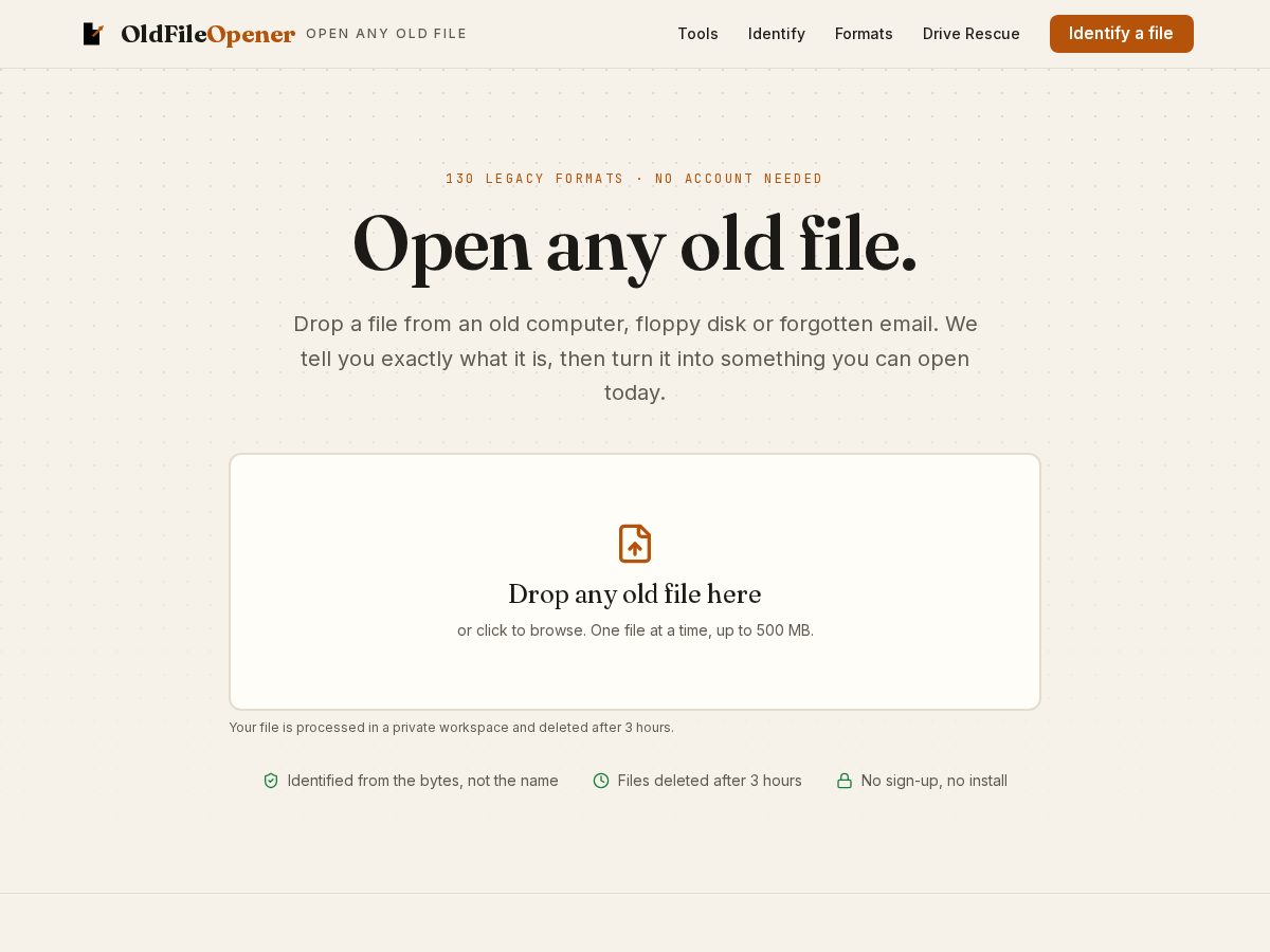 Landing-page snapshot of oldfileopener.com