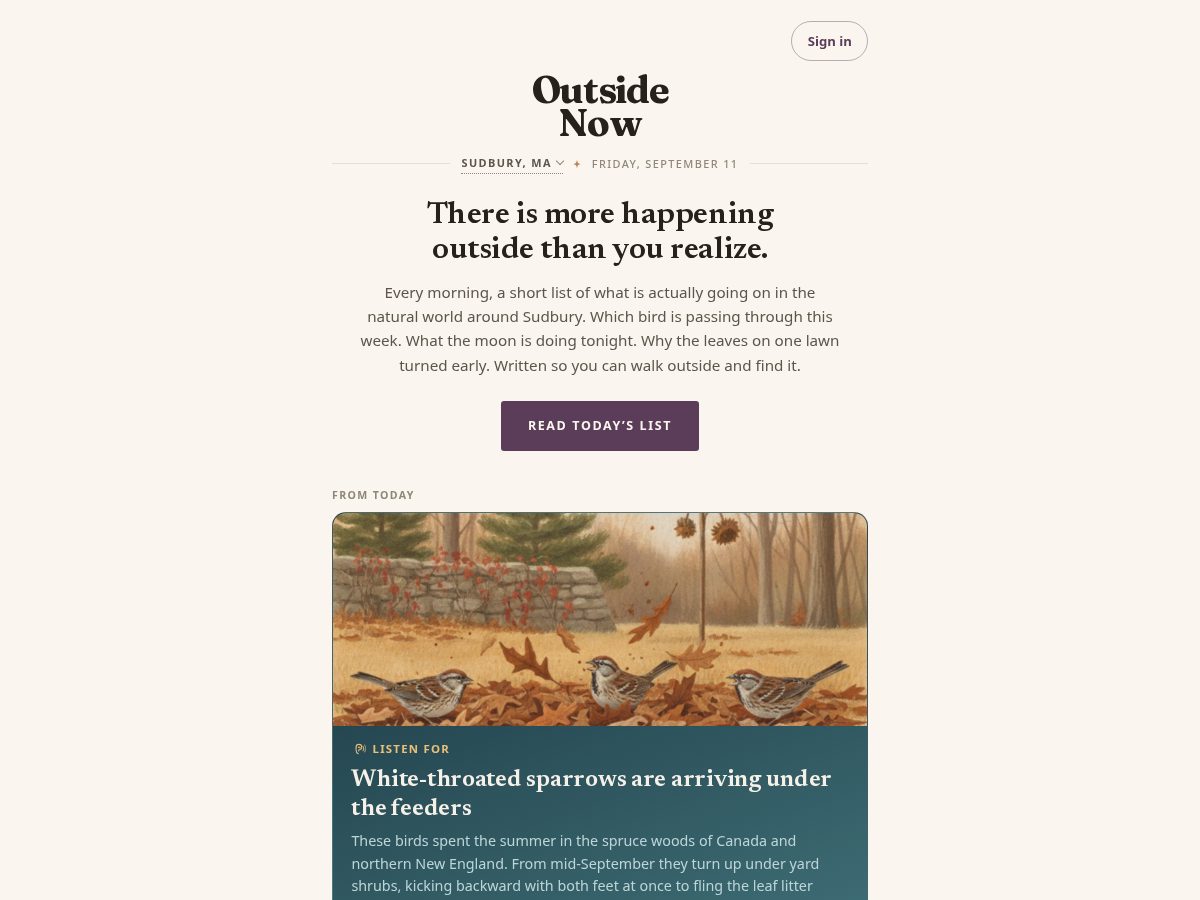 Landing-page snapshot of outsidenow.site