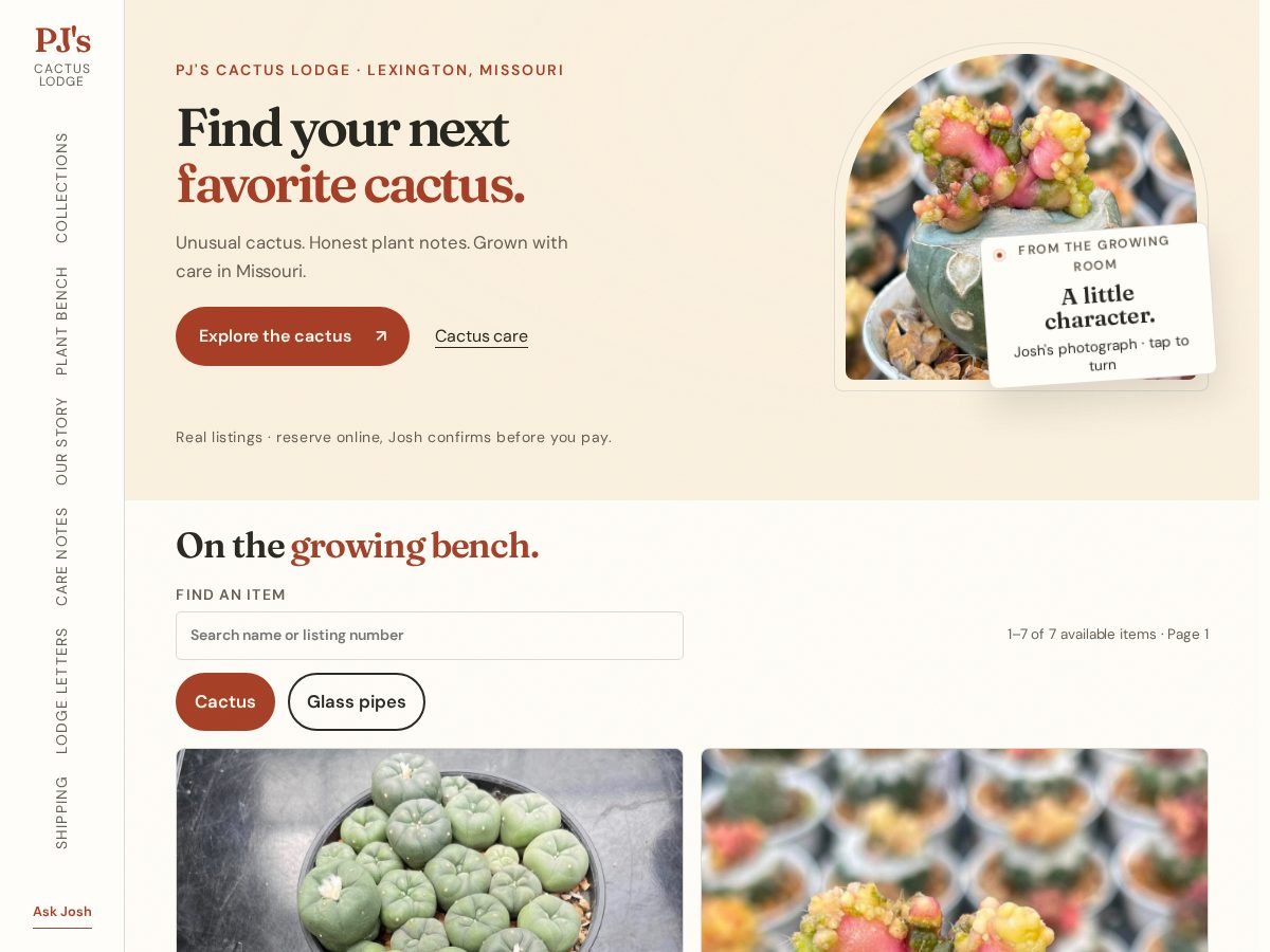 Landing-page snapshot of pjscactuslodge.com