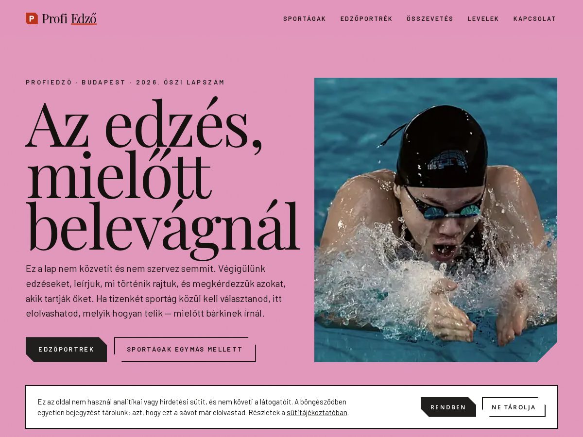Landing-page snapshot of profiedzo.com