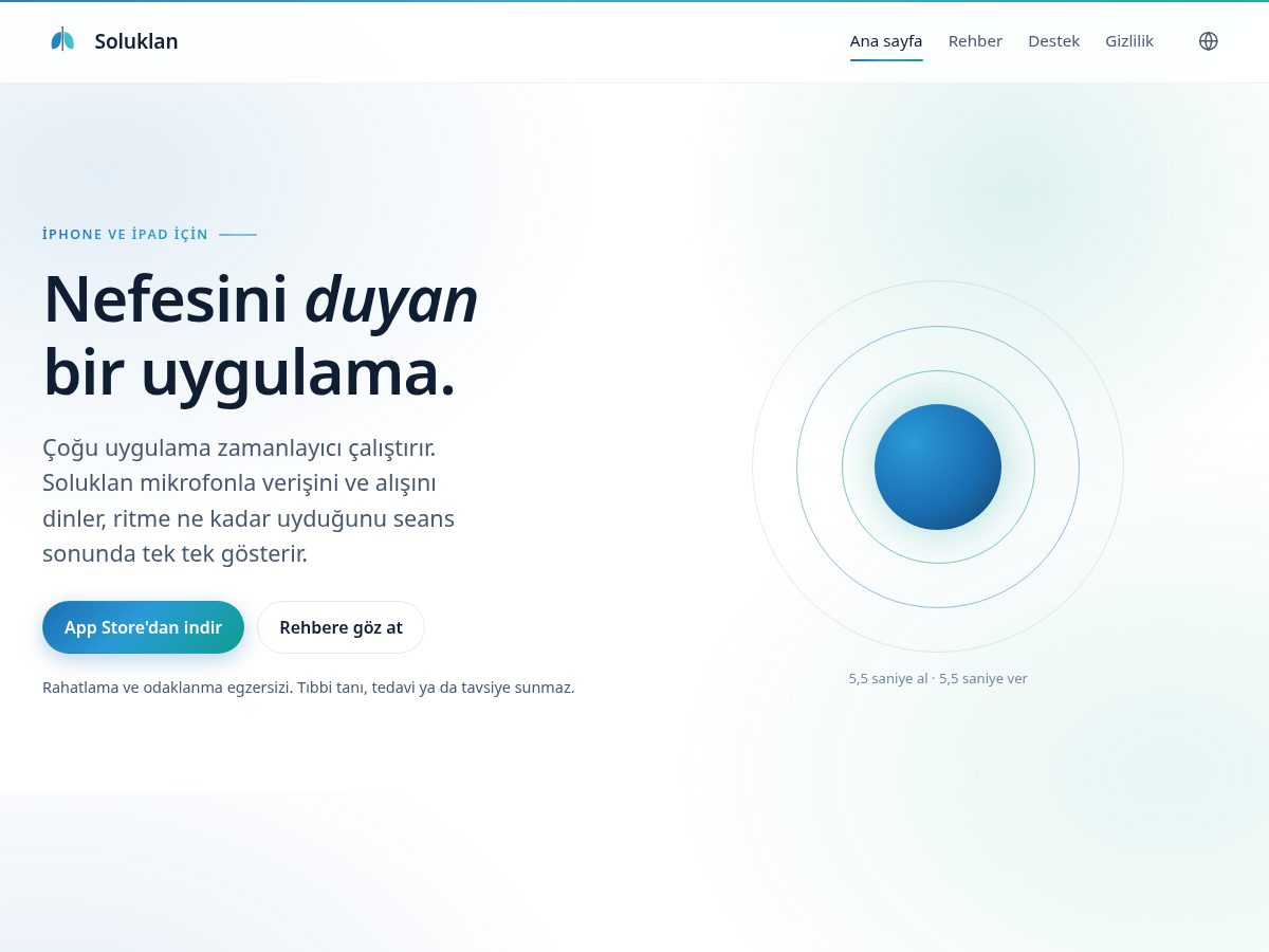 Landing-page snapshot of soluklan.app
