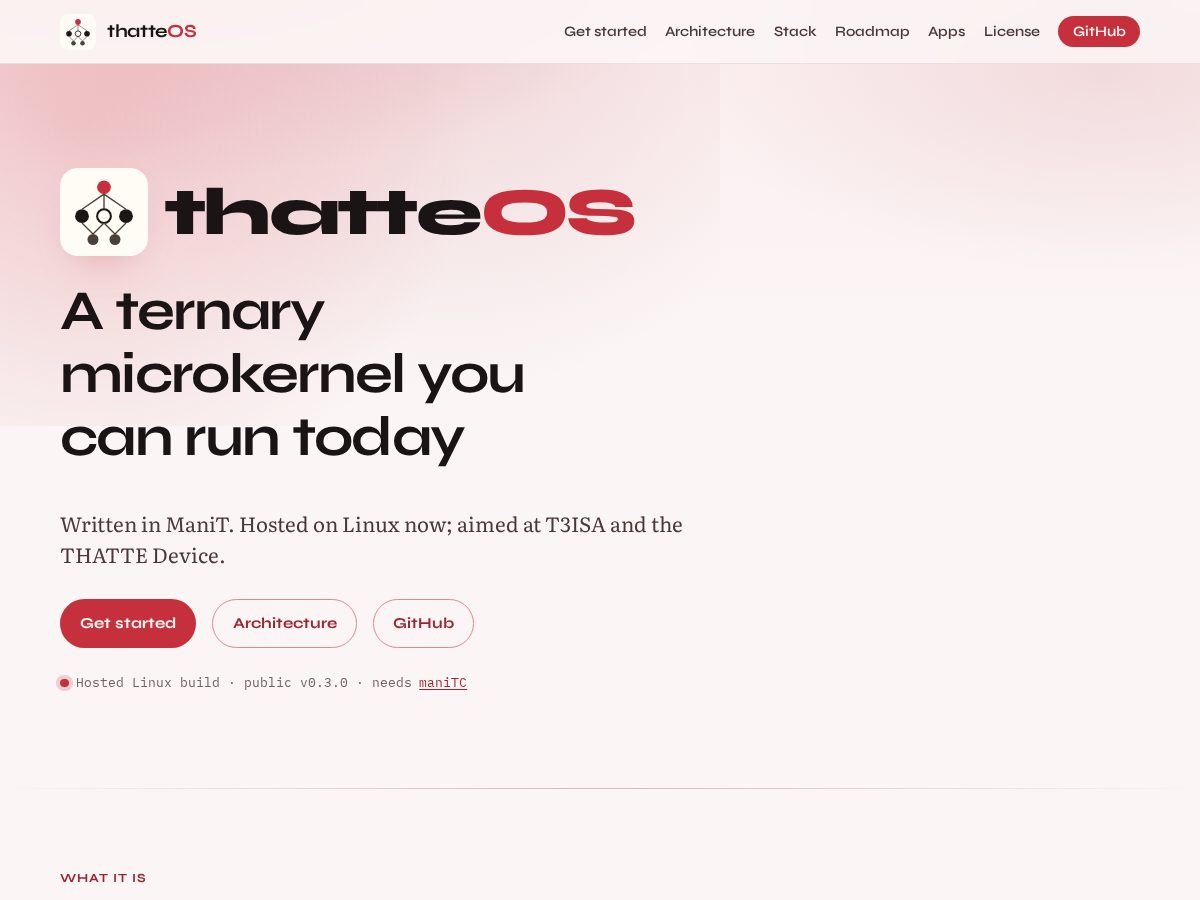 Landing-page snapshot of thatteos.com