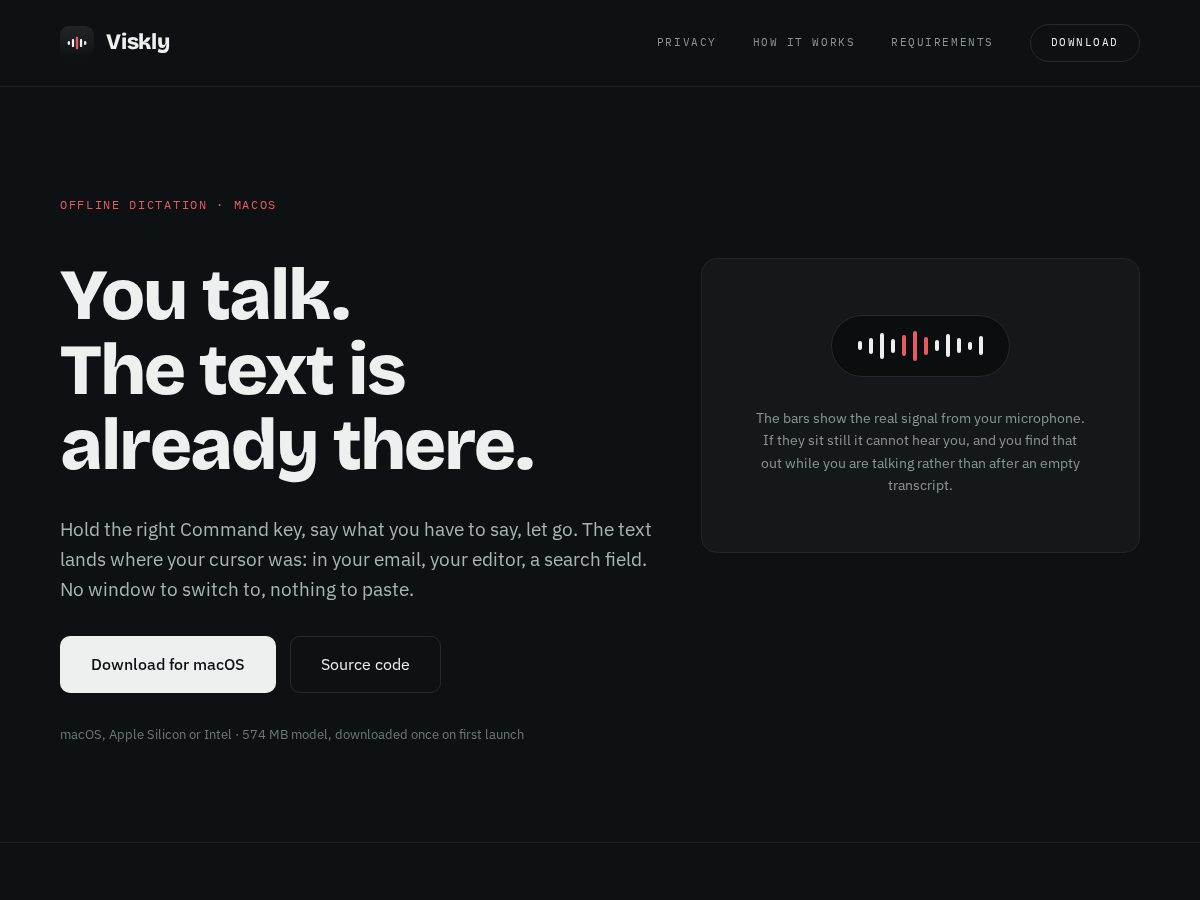 Landing-page snapshot of viskly.com