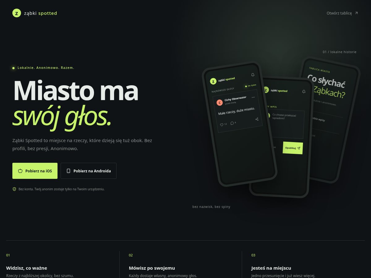 Landing-page snapshot of zabki.site