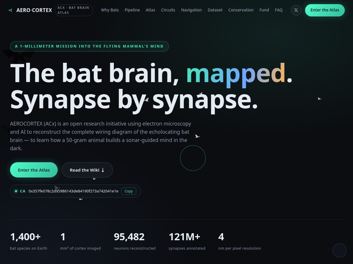 Landing-page snapshot of aerocortex.top