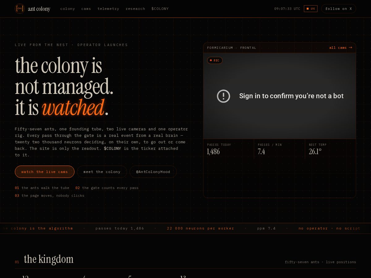 Landing-page snapshot of antcolony.tech