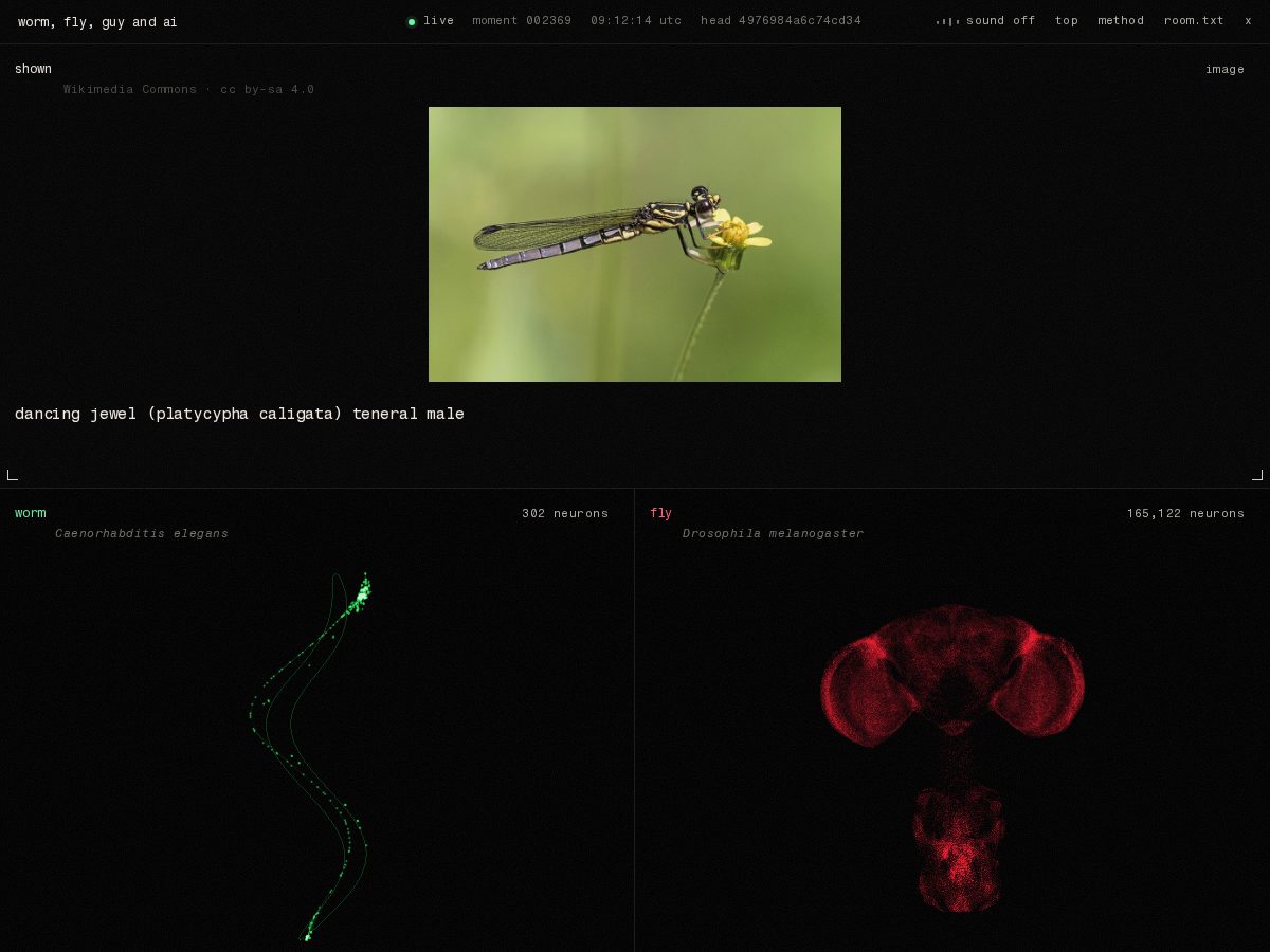 Landing-page snapshot of bugflyguyai.tech