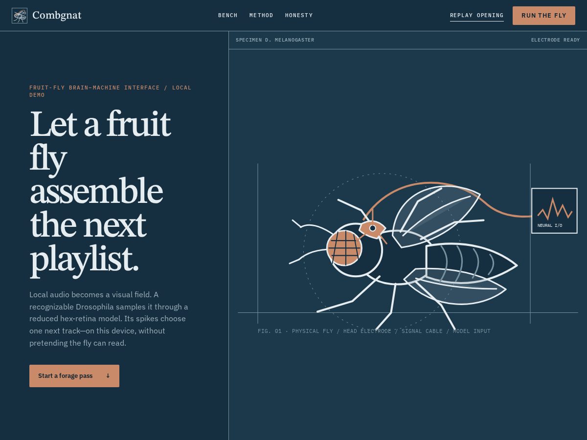 Landing-page snapshot of combgnat.xyz