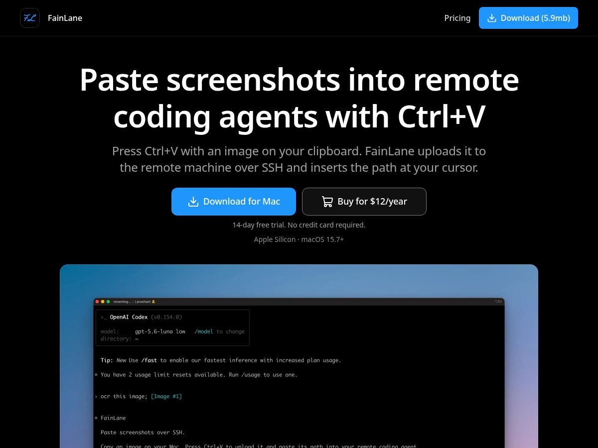 Landing-page snapshot of fainlane.com