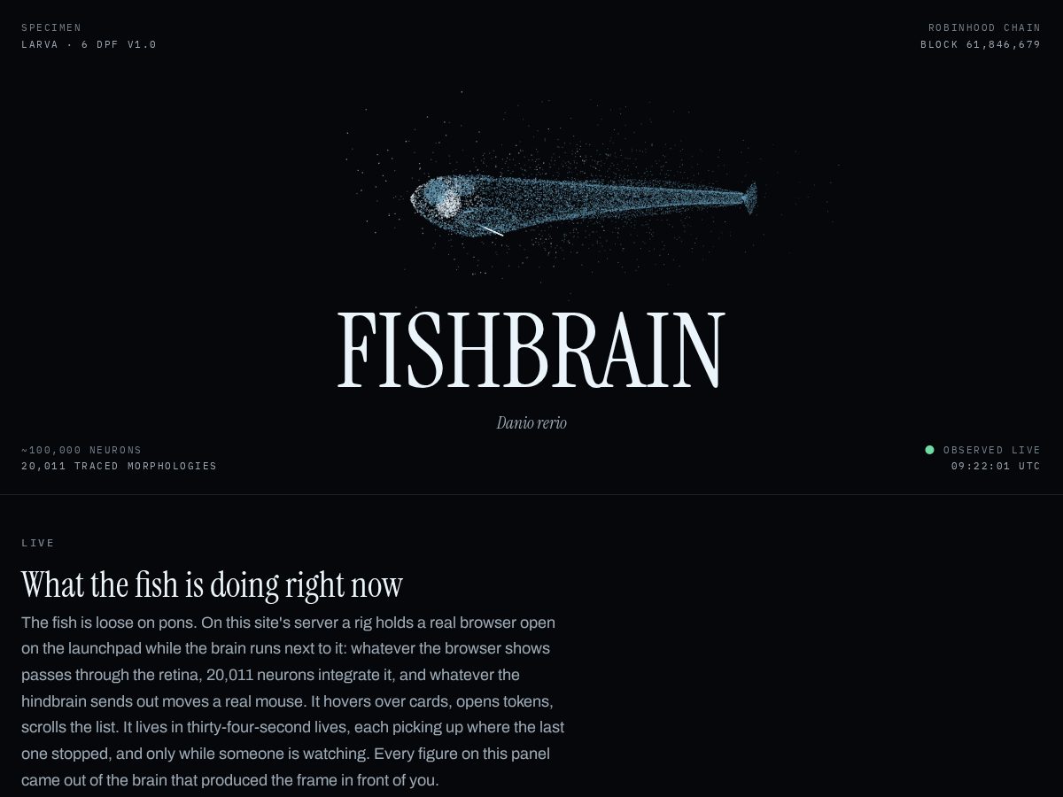 Landing-page snapshot of fishbrain.tech