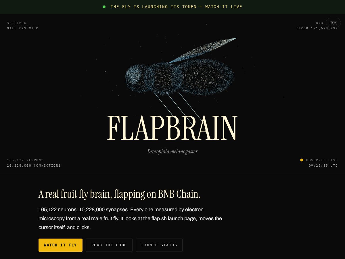 Landing-page snapshot of flapbrain.com