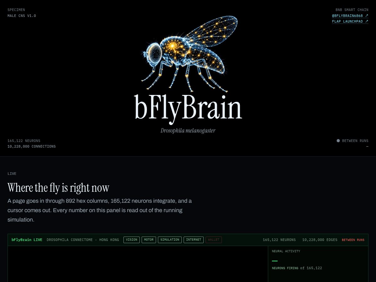 Landing-page snapshot of flaybrain.online