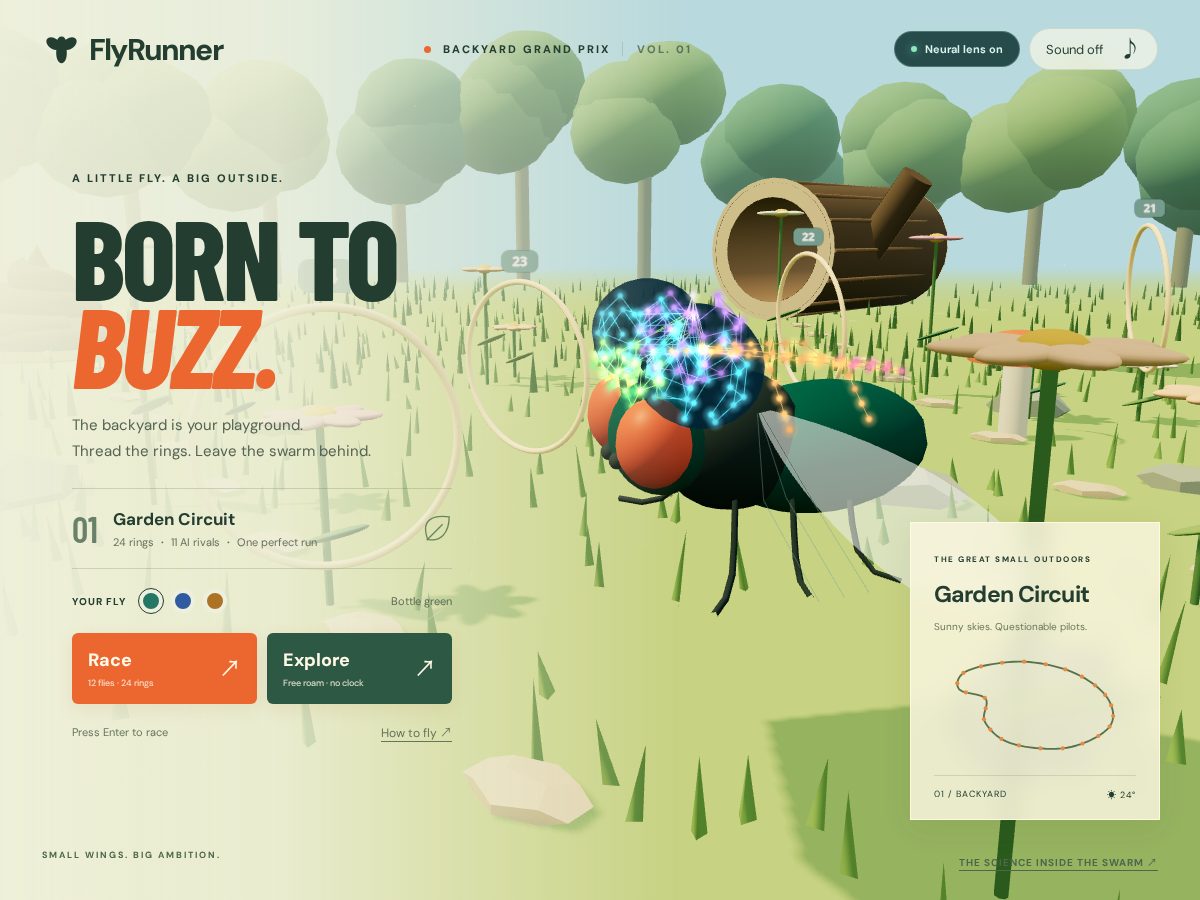Landing-page snapshot of flyrunner.run
